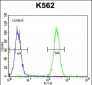 BAI1 Antibody (C-term)